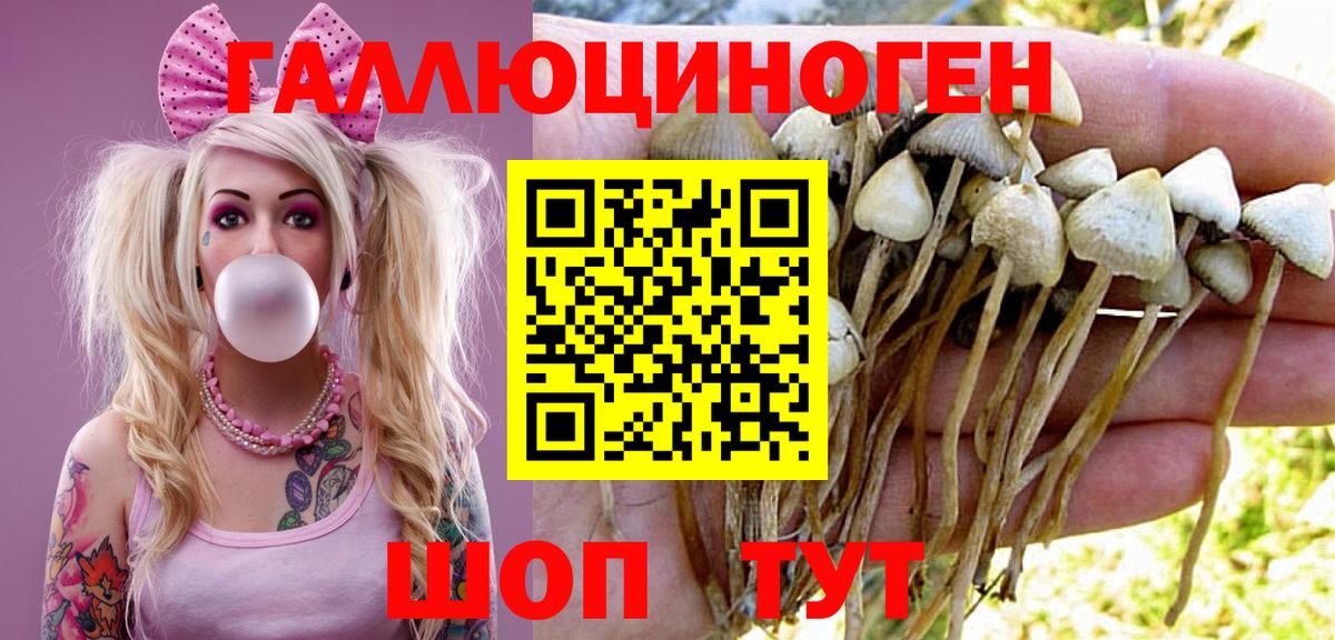 Галлюциногенные грибы прущие грибы Сердобск