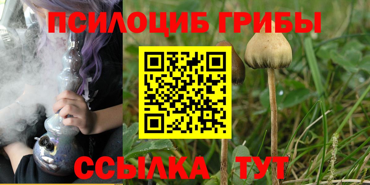 Сердобск  Галлюциногенные грибы мухоморы  Псилоцибиновые грибы ЛСД  где купить наркоту  Вход с VPN 